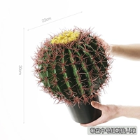 Принесите мяч кампании Red Stab с серединой бассейна