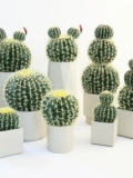 Имитация кактуса, декоративные украшения, большой комнатный кактус, тропические пустынные зеленые растения, ландшафтный дизайн, витрина магазина