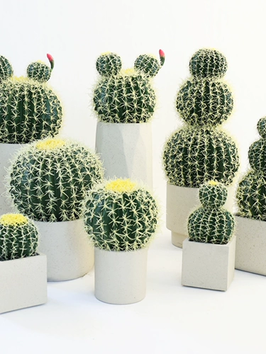 Имитация кактуса, декоративные украшения, большой комнатный кактус, тропические пустынные зеленые растения, ландшафтный дизайн, витрина магазина