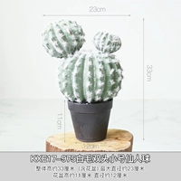 KXE17-975 седоволот