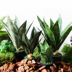 Nordic Artificial Green Plant Snake Plant Potted Plant Living Room Tropical Desert Plant Indoor Office Desktop Decoration