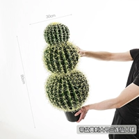 Большой кактус из трех частей с желтыми шипами в горшке