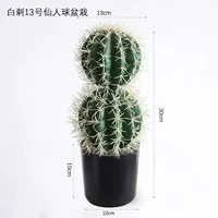 Белый колюч № 13