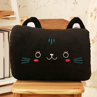 Черная кошка