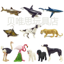 Ostrich Flamingo Teddy Than Bear Lingti Golden Leopard Killer Whale Blue Shark Spotted Eagle Ray Model