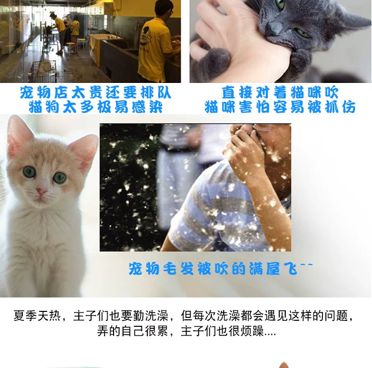 Pet sấy hộp chó máy sấy tóc tắm tạo tác thổi mèo nhỏ chó nhà máy sấy nước máy thổi - Cat / Dog Beauty & Cleaning Supplies lược chải lông chó