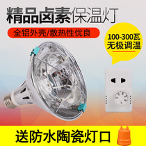 Chicken insulation lamp halogen breeding heating lamp energy saving adjustable temperature brooding heating bulb chicken equipment supplies