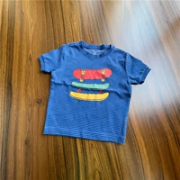 24 тибетская синяя полосатая скользящая доска