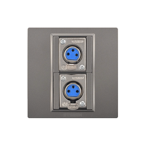 Type 86 Wall Concealed a Carnon Microphone Panel Gray Two Three-Core Mother Cannon Socket Microphone Socket