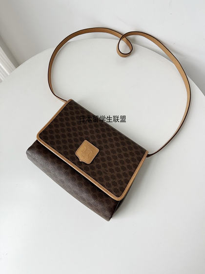全原皮95新 Celine 赛琳中古老花风琴包单肩斜挎包信封包25*6*17