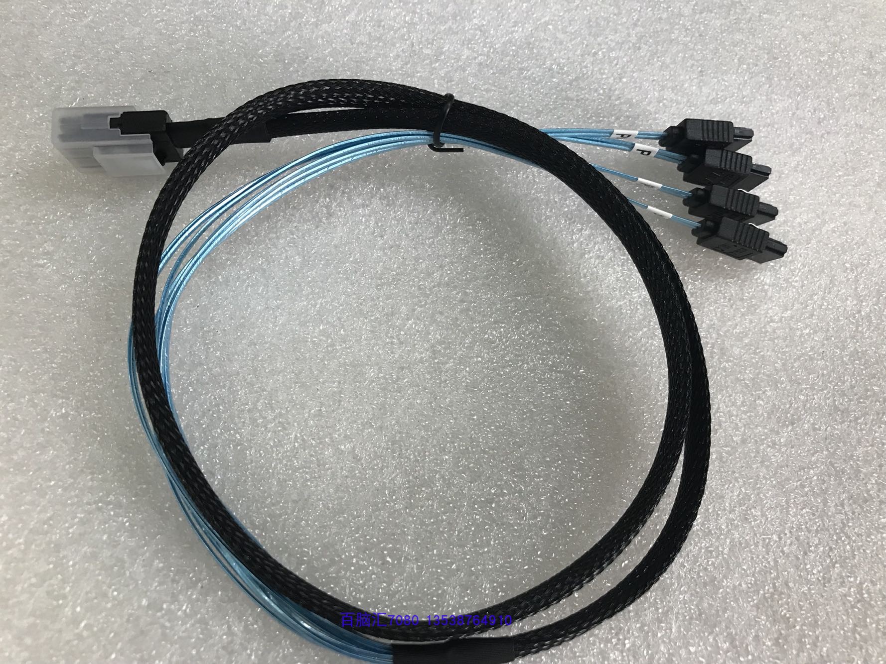 6GB MINI SAS to SATA 1 SATA Wire Non-Retail Pass Card Out of Shipping