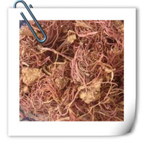 Chinese herbal medicine Ziyuan Yuan Ziyuan Back to Soul Grass Roasted Purple Garden 500 gr