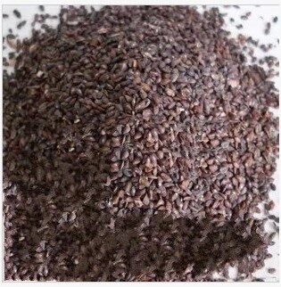 Jiangxi Plantain Seed Fake One Lost ten Plantain Seed Powder 500 gr