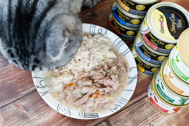 Ren Ke Pet / Đức Gimpet Jun Bao Soup Luộc mèo Can Cat Đồ ăn ướt Cat Snack / 70g Single Can Sale đồ ăn mèo
