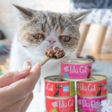 Renke Tiki Cat Cat Conned Imported Miracle Cat Series серия 80G Catless Valley Staple Food Nutrition Wet Food