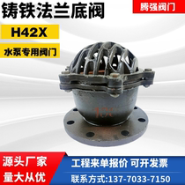 Flange bottom valve H42X water pump suction valve water inlet one-way valve shower head check valve DN80100150200