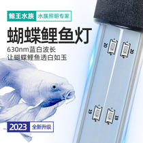 Butterfly koi fish special fish tank lamp LED lamp waterproof super bright brightening diving small lighting tube pure blue and white light