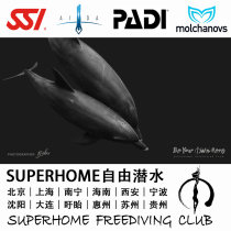 SUPERHOME自由潜水俱乐部速干运动毛巾海豚图案原创40*70cm