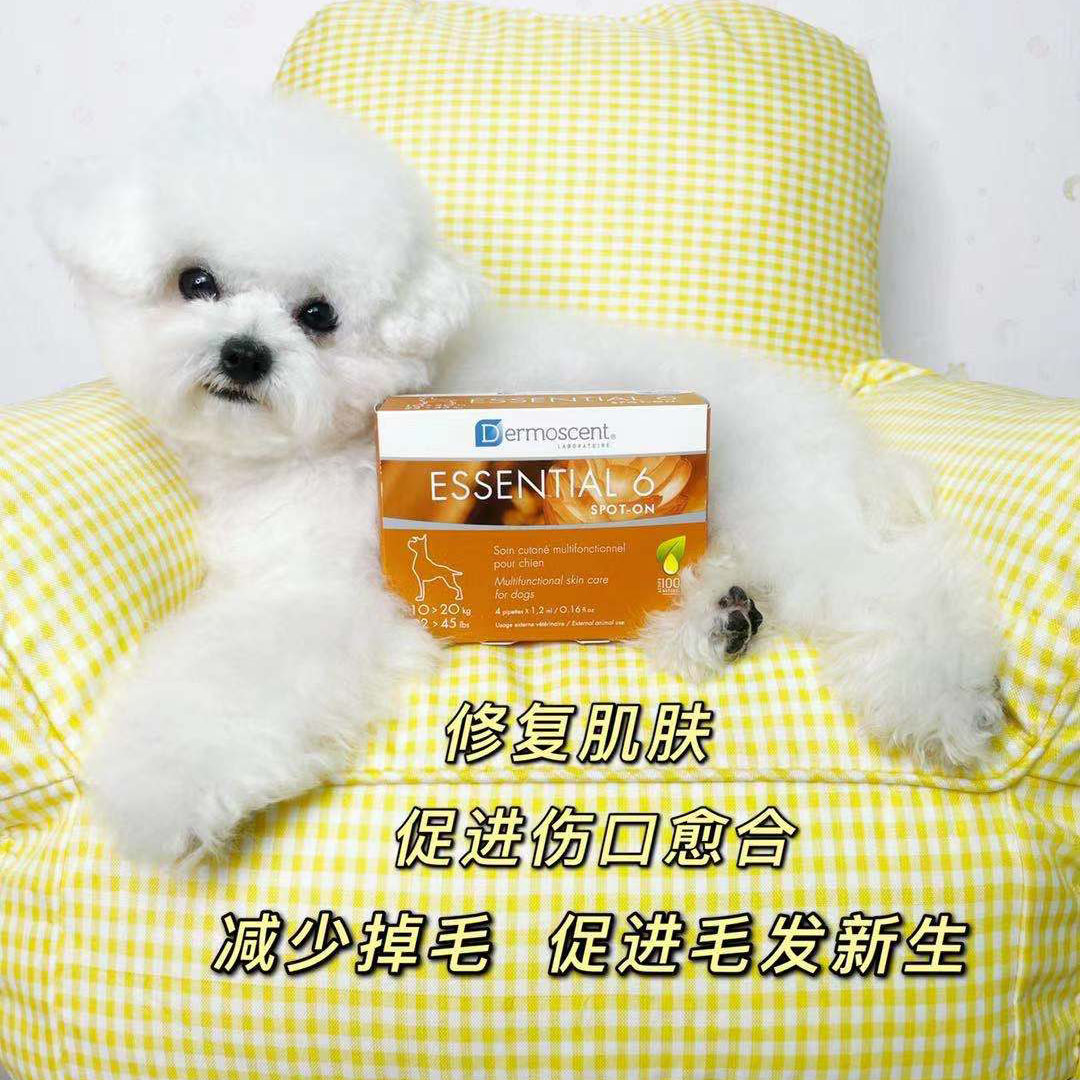 French original Demes golden dot dog skin disease drops fungal allergy dermatitis to reduce dandruff hair loss