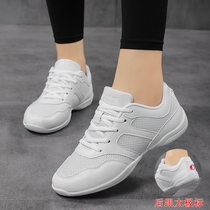 Taiji shoes female summer mesh breathable leather soft sole tai chi box martial arts training competition