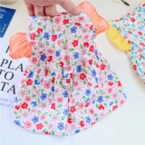 ПЭТ лето чистое хлопок тонкая юбка плюшевая кошка маленькие щенки, чем медвежьи щенки, лето