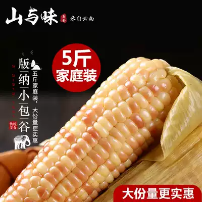 Mountain and flavor Xishuangbanna small corn Yunnan Banna Xiangwaxy small corn corn fresh sweet waxy 12~14
