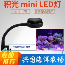 Jiguang 1010 water plant light 1020 sea tank light Grass tank light Algae tank light Seawater coral LED light Fish tank clip light