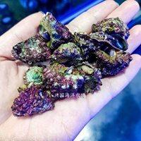 Фиолетовый слот 10 10