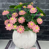 Crystal Lotus Pink No Vase