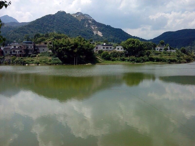 媛姐山货