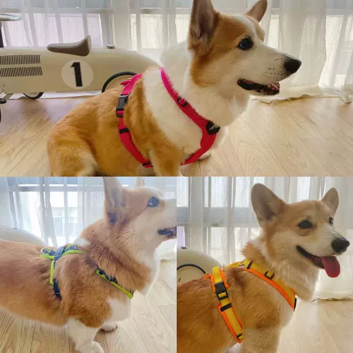 Япония Hakusan Zero Harness Zero Harness Zero Laure Laving Y -обработка грудной клетки и спины с помощью собак и собаки