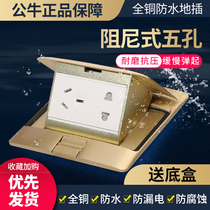 Bull ground socket all copper waterproof damping hidden floor porous five-hole ground waterproof socket