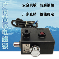 DSW4-Y Z outdoor electromagnetic lock isolation switch electromagnetic lock electronic control mechanical interlocking device