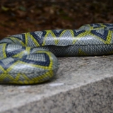 Большая забавная надувная реалистичная игрушка, 95см