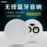 Hope Agnn for B30/B44 Беспроводной Bluetooth Top Dinger с исходной аудио -фоновой музыкой воспроизводить динамики потолка