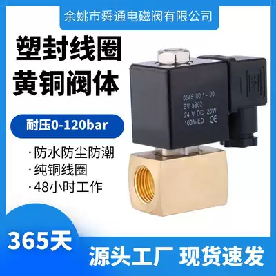 STTG solenoid valve brass high pressure 120kg 2 minutes 4 minutes cold mist special piston air compressor threaded solenoid valve
