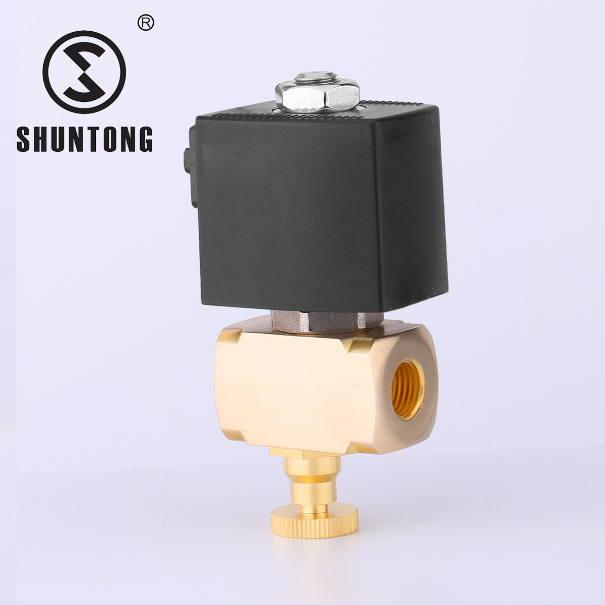 Methanol gas solenoid valve ZCM025-08 air defense burning with manual solenoid valve