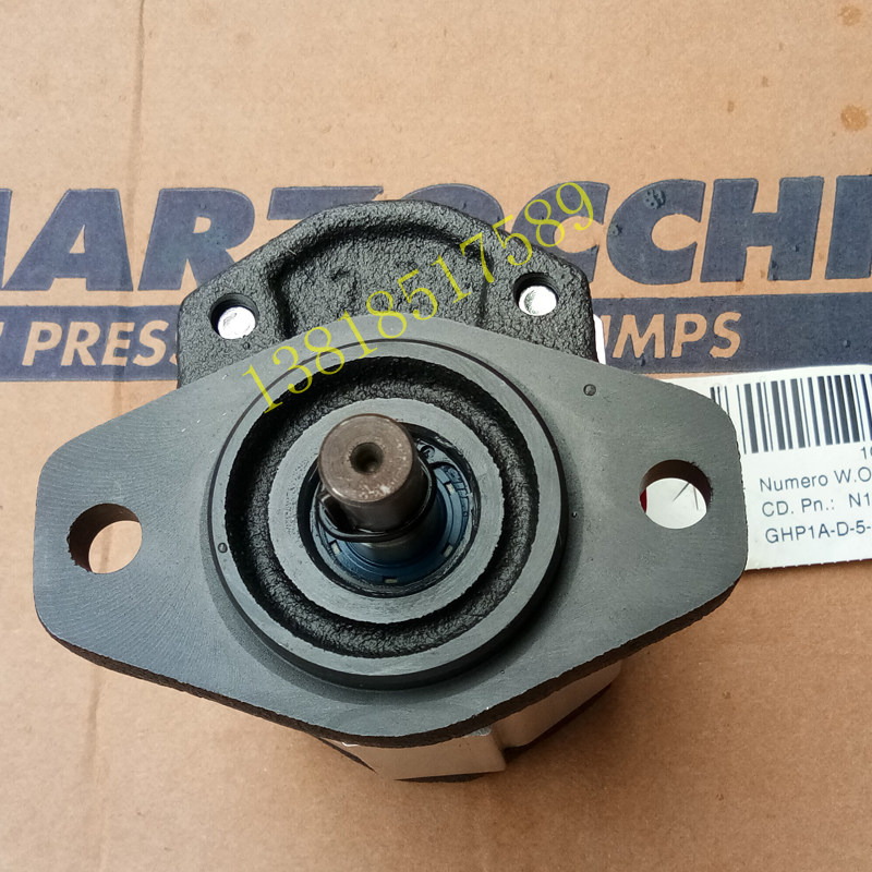 GHP1A-D-9-FG high pressure gear pump MARZOCCHI MARZOCCHI ITALY