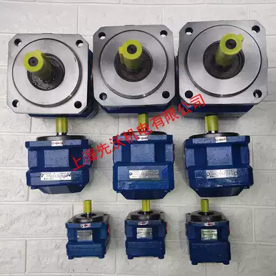 Shanghai machine tool factory SMTW gear pump GPA3-25 40 63-e-20r6 3 internal gear pump oil pump