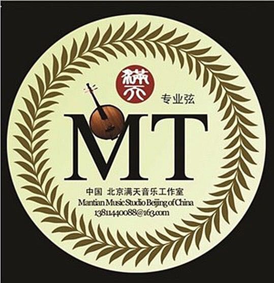 Feng Miantian's Patented Professional-Grade Zhongruan Strings (Set)