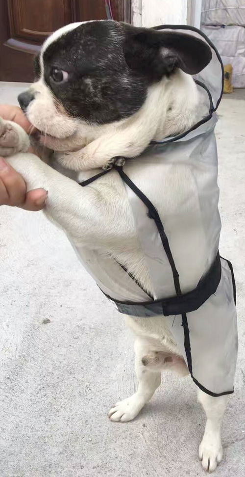 Pet quần áo poncho nhỏ vừa chó cưng quần áo mỏng không thấm nước giải phóng mặt bằng phù hợp với áo mưa chó - Quần áo & phụ kiện thú cưng bộ quần áo thú cưng