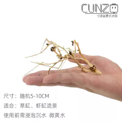 Inze micro-cylinder micro-landscape special sunken wood Thai sunken wood branches Rhododendron root branches