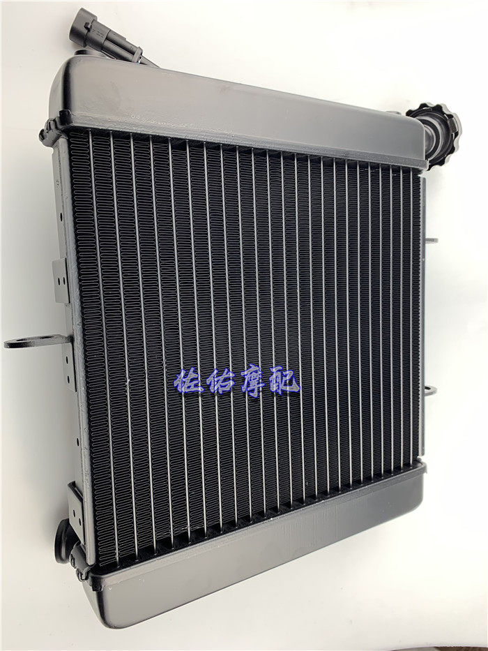 Lion 500 BJ500 Water tank component Radiator assembly fan cooling tank