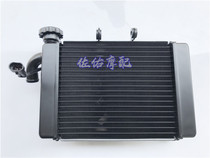 Huanglong BJ300GS Lanbaolong BN302 300 cruise water tank radiator composition fan cooler original