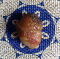 Alashan agate hieroglyphic original stone pendant Conch twisted the world eyes Stone red tendon blood vein fish seed