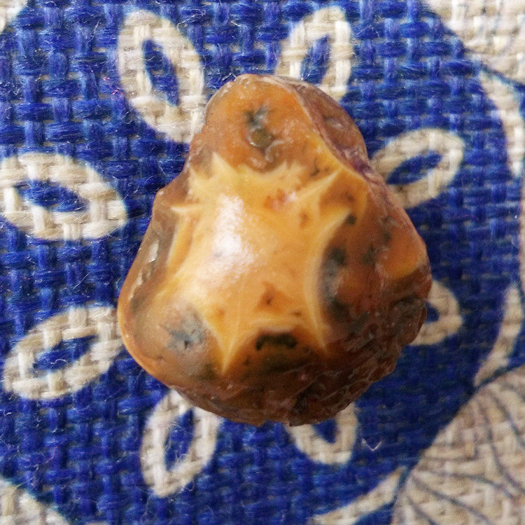 Mongolia Alxa fish eggs tendon blood Gobi strange stone agate floating flower small gourd pendant starfish eye original stone