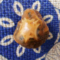 Mongolian Allagoodness fish seed gluten vein Gecchiishi stone agate floating flowers small plinth pendant Heisei Eye raw stone