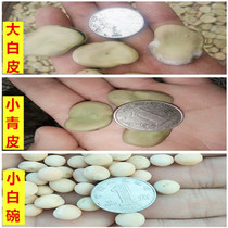 Big bean seed Green broad bean seed pea seed Japanese big white bean seed big bean seed big bean seed