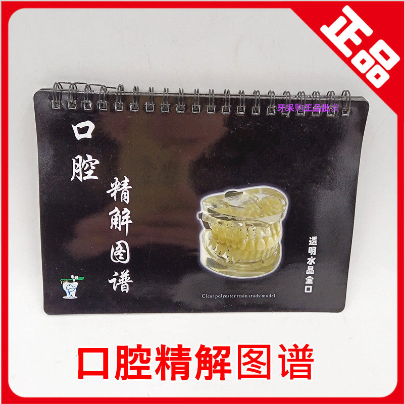 Loss of this special price Oral Oral Essence of the Medical Communication Picture Book Dental Oral Dental material