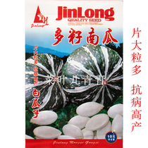 Multi-seed pumpkin seed seed seed squash Pumpkin White pumpkin seed melon seed melon seed melon seed pumpkin seed melon seed melon large seed yield high